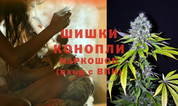 PSILOCYBIN Краснотурьинск